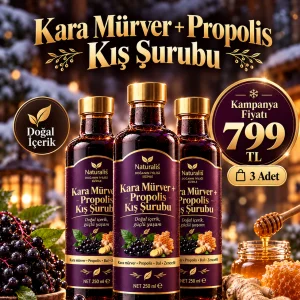 Kara Mürver Probolis